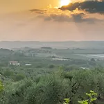 Umbrian And Olive Grove View Panicale