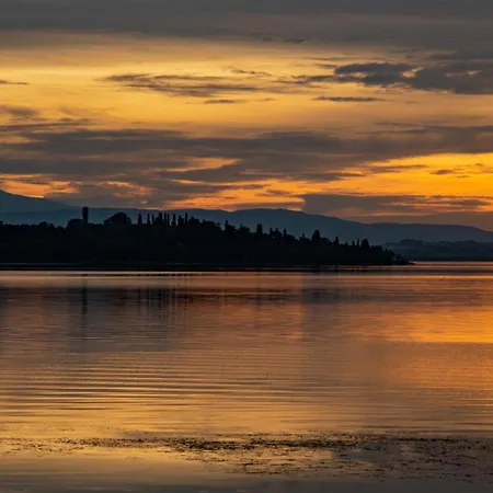 Umbrian And Olive Grove View *