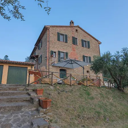 Umbrian And Olive Grove View *