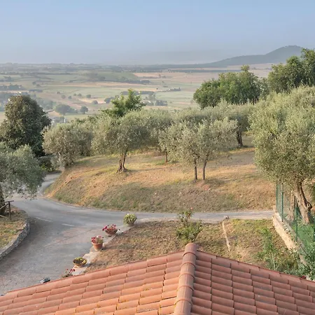 Umbrian And Olive Grove View *