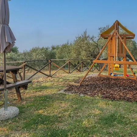 Umbrian And Olive Grove View