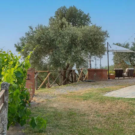 Сasa de vacaciones Umbrian And Olive Grove View