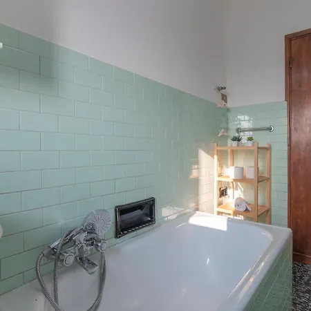 Umbrian And Olive Grove View *