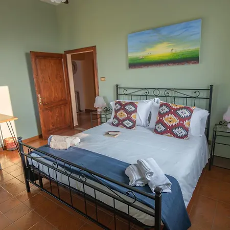 Umbrian And Olive Grove View *