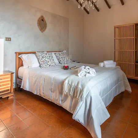 Umbrian And Olive Grove View *