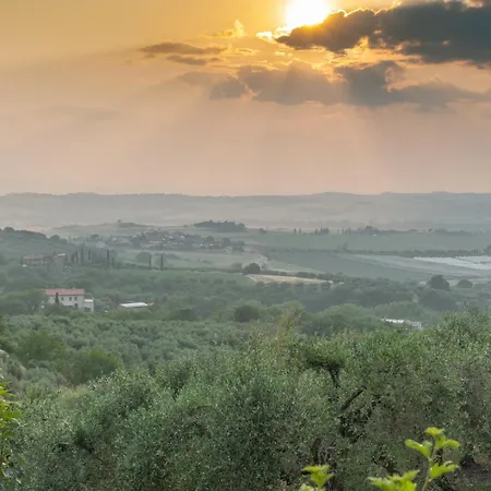Umbrian And Olive Grove View Panicale