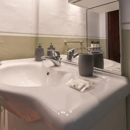 Umbrian And Olive Grove View *