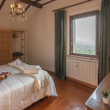 Сasa de vacaciones Umbrian And Olive Grove View