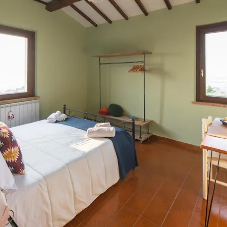 Umbrian And Olive Grove View *