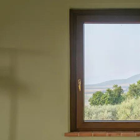 Umbrian And Olive Grove View