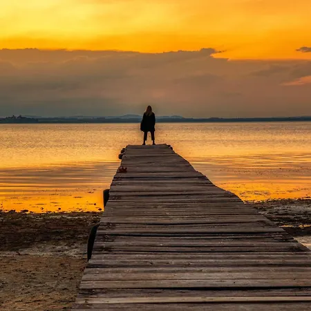 Umbrian And Olive Grove View Panicale
